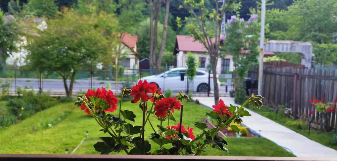 Vila Casa Bunicilor Sinaia Exteriér fotografie