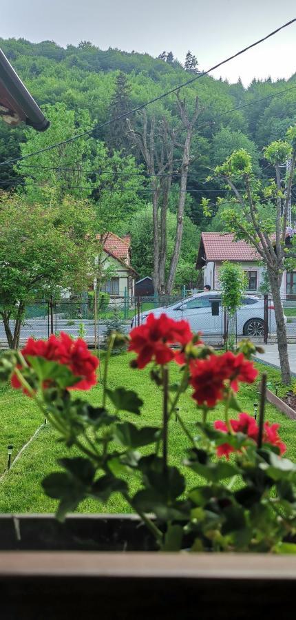 Vila Casa Bunicilor Sinaia Exteriér fotografie